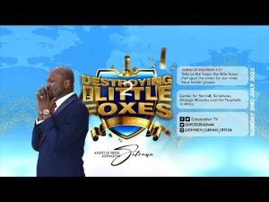 Destroying The Little Foxes By Apostle Johnson Suleman part 2