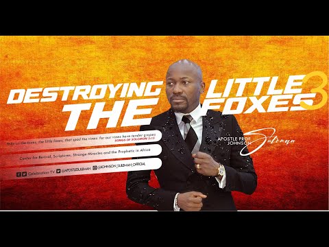 Download Destroying The Little Foxes By Apostle Johnson Suleman Part 3