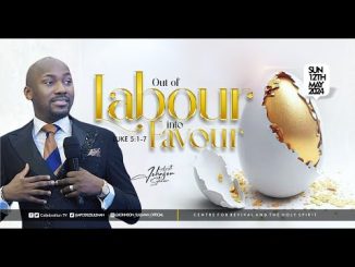 Out Of Labour Into Favour by Apostle Johnson Suleman